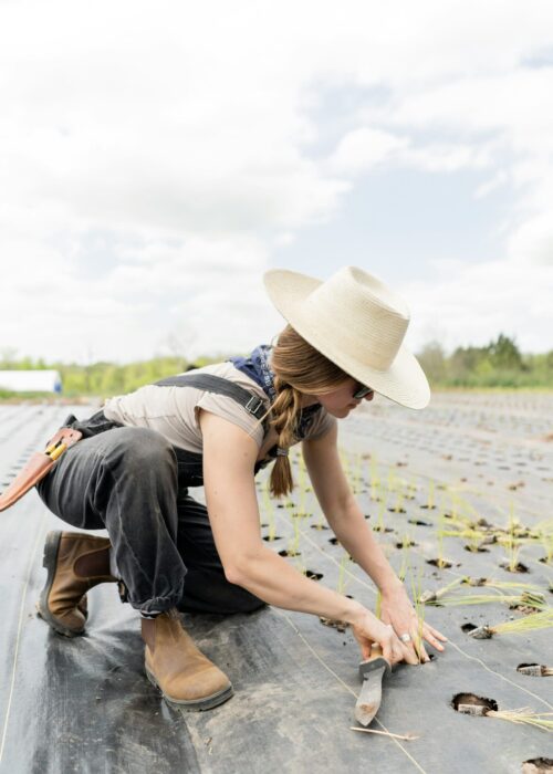 zoe-richardson-kfJdRTvVhuk-unsplash